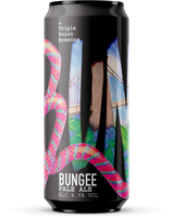Triple Point Bungee Pale Ale 440ml 4.5%