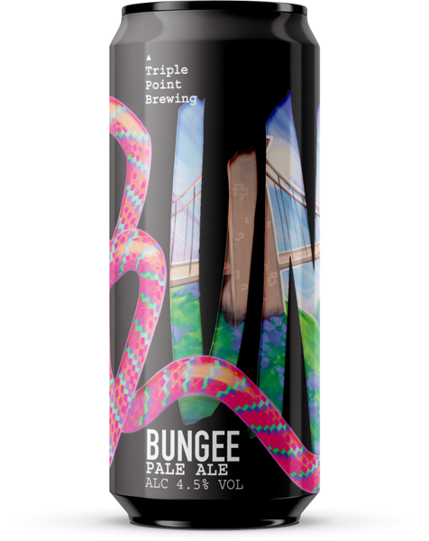 Triple Point Bungee Pale Ale 440ml 4.5%